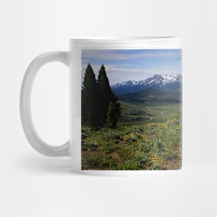 850_2014 Mug